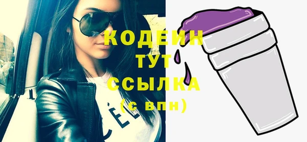 дмт Киреевск