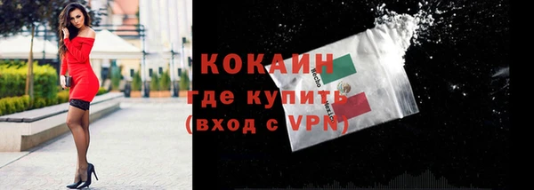 PSILOCYBIN Киренск