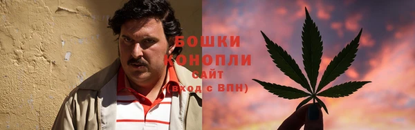 дмт Киреевск