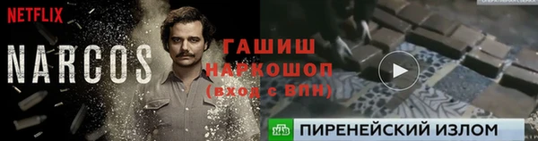 твердый Козловка