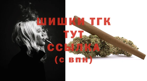 дмт Киреевск