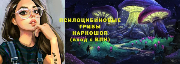 дмт Киреевск