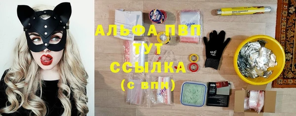PSILOCYBIN Киренск