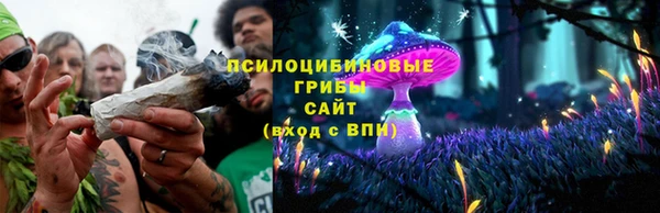 ПСИЛОЦИБИНОВЫЕ ГРИБЫ Козельск