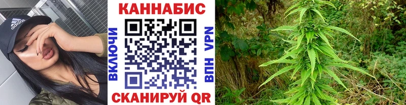 Марихуана марихуана  как найти закладки  Кировград 